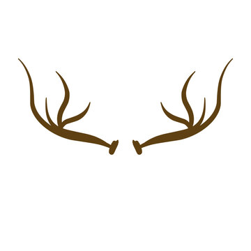 Deer Antlers Vector