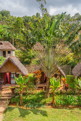 Beautiful jungle thatched roof houses in the Andasibe National Park, Madagascar