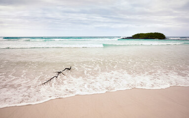 Fototapeta na wymiar Tortuga Bay beach on Santa Cruz Island, Galapagos Islands, Ecuador.