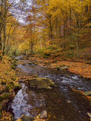 Fototapeta na wymiar nature scenery with small river in autumn forest. mountainous countryside landscape on a sunny day