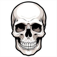 Vector skull with black outline halloween, tattoo and stickers