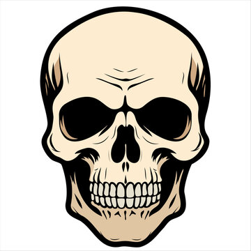 recommend clip art: Vector skull with black outline halloween, tattoo and stickers