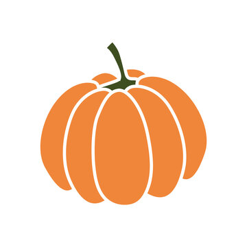 Pumpkins. Illustration on transparent background
