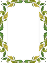 Frame template with green leaves. Design is perfect for scrapbooking, kids design, wedding invitation, posters, greetings cards, party decoration.