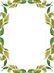 Frame template with green leaves. Design is perfect for scrapbooking, kids design, wedding invitation, posters, greetings cards, party decoration.