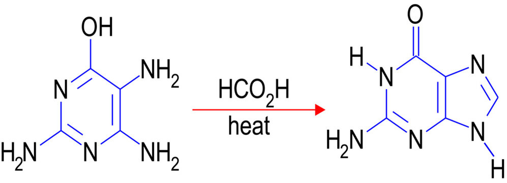 Traube purine synthesis , vector illustration