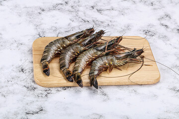 Raw tiger prawn for cooking