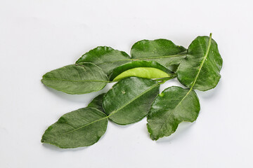 Aroma seasoning kaffir lime leaves