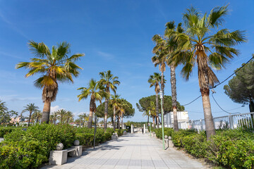 Walking part of the promenade with tall palm trees on both sides in the port of Golfe-Juan in southern France.