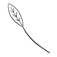 Artistic Line Drawing of Thread Plant, Heart, and Flower