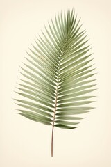 antique colored botanical print of a beautiful palm leaf