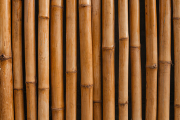 Close up bamboo fence. Wood texture