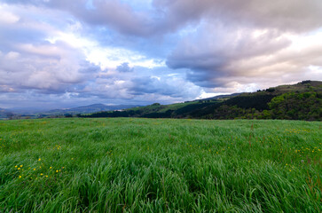 Fototapeta premium Atardecer en los montes de Zarautz