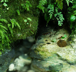 źródło wody pomiędzy kamieniami