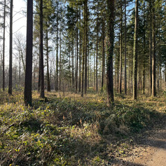 German Nature