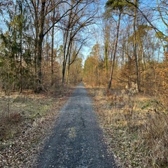 Fototapeta premium German Nature