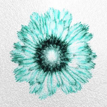 translucent colourful single floral bloom isolated on a plain background