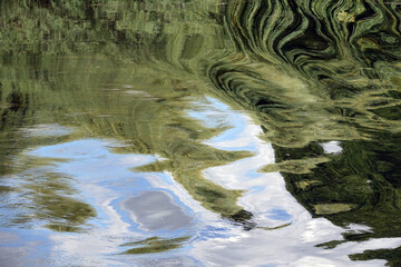 Spiegelung in einem Fluss