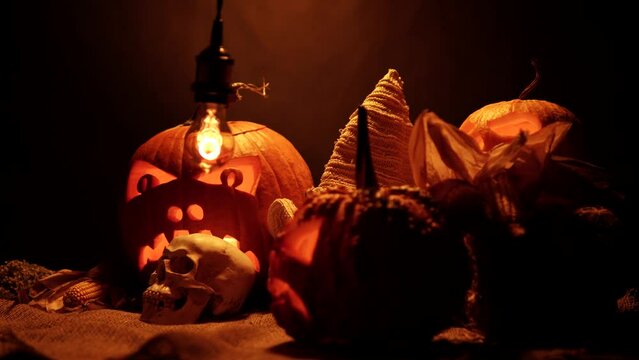 Halloween of pumpkins set on the black background. Halloween and harvest set with scarecrow or witch hat, weeds and human skull on barn burlap. Eerie evil and spooky fall decorations.
