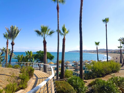 beautiful sandy beach with palm trees and parasols at Bah&iacute;a de Casares with a view along the Playa Ancha towards San Luis de Sabinillas, Duquesa, Manilva, Estepona, Costa del Sol, Malaga, Andalusia