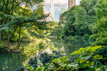 Central Park lake in the summer time