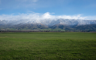 Fototapeta premium New Zealand farm landscape with green grass and mountains