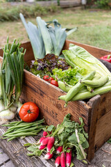 fresh and colorful vegetable in a vintage wooden box 