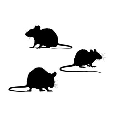 Black silhouette of a rat on white background. black icon of a rodent. vector illustration of a pest. Warning icon of pests
