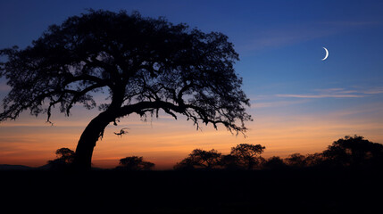 a crescent moon against a twilight sky, crater details visible, a silhouette of a large oak tree in the foreground