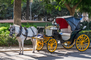 Coche de caballos estacionado junto al paseo del Parque en la ciudad de Málaga, Andalucía - obrazy, fototapety, plakaty