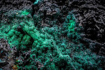 conichalcite green crystal. macro detail texture background. close-up raw rough unpolished...