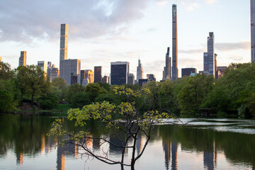 Fototapeta premium New York City seen from Central Park