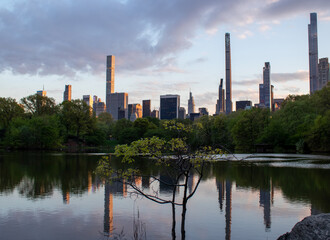 New York City seen from Central Park