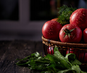 Red tomatoes with dew drops in a wooden basket with parsley and celery on a wooden table with a dark window in the background