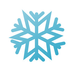 Fototapeta premium Snowflake, winter, christmas snowflake