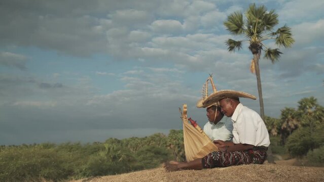 Two people playing Sasando Under a Palm Tree. Traditional music from East Nusa Tenggara, Indonesia