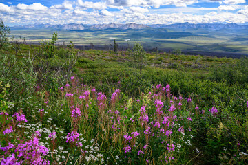 Dempster Highway, Yukon