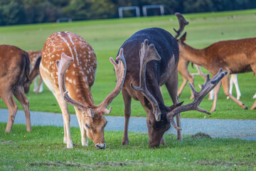 Dublin, Ireland - July 12 2023 - 