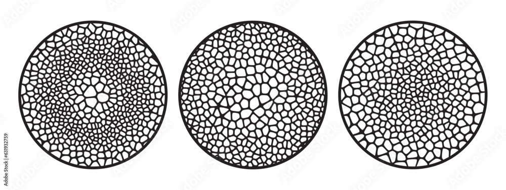 Wall mural organic cells radial pattern set. vector grid mesh elements for design.