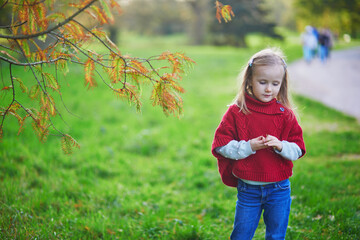 Adorable preschooler girl enjoying autumn day outdoors