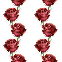  Seamless pattern with red roses. Hand drawn watercolour illustration. Red flowers on white background.