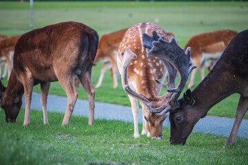 Dublin, Ireland - July 12 2023 - 