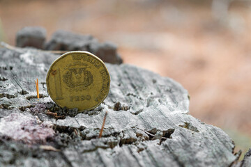 Dominican Republic peso coin on a old wooden log background