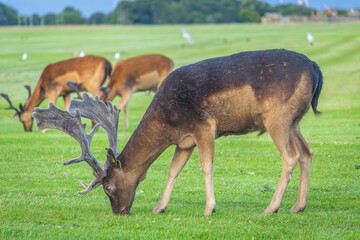 Dublin, Ireland - July 12 2023 - 