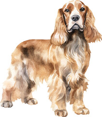 English cocker spaniel dog watercolour illustration created with Generative AI technology