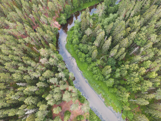 Estonian nature, the Valge river flows through the forest, drone photo in summer.