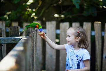Adorable preschooler girl feeding parrot in zoo
