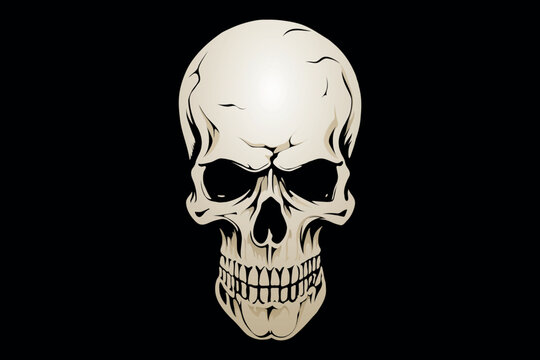 Human skull. Colourful vector illustration on black background.