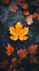 autumn maple leaves on the water in the rain background intagram story