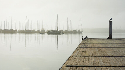 pier in the lake, sailboats in landing, quiet morning, morning haze, sailboats, misty morning, misty, misty harbor, sea birds, birds on a dock, sail boats, water reflections, reflections, wooden dock